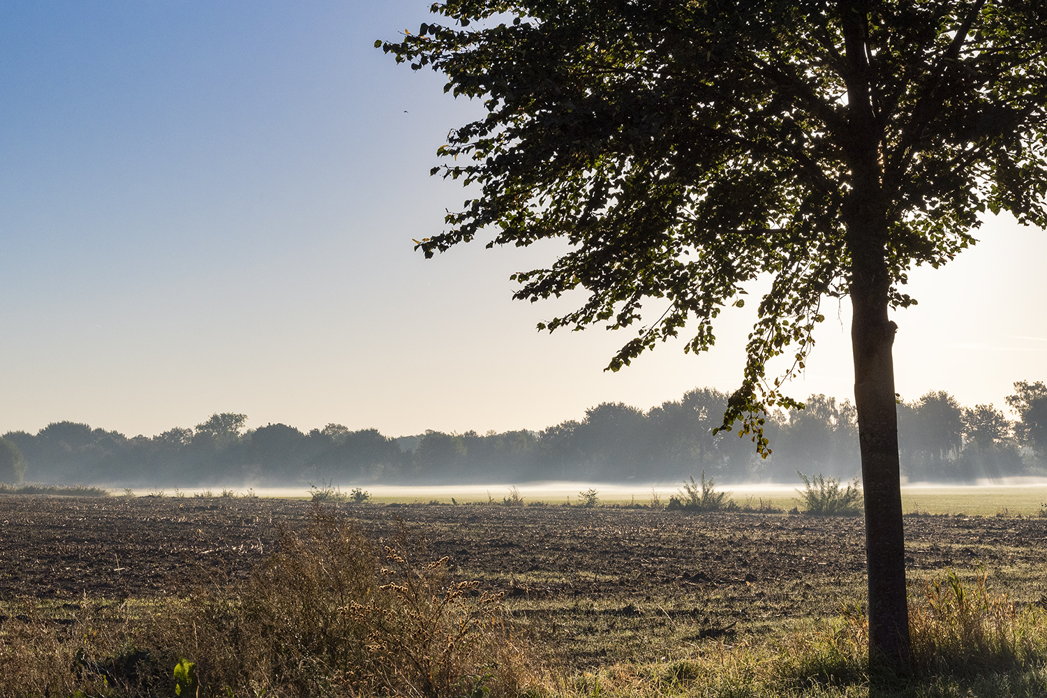 8 mist over dorshout