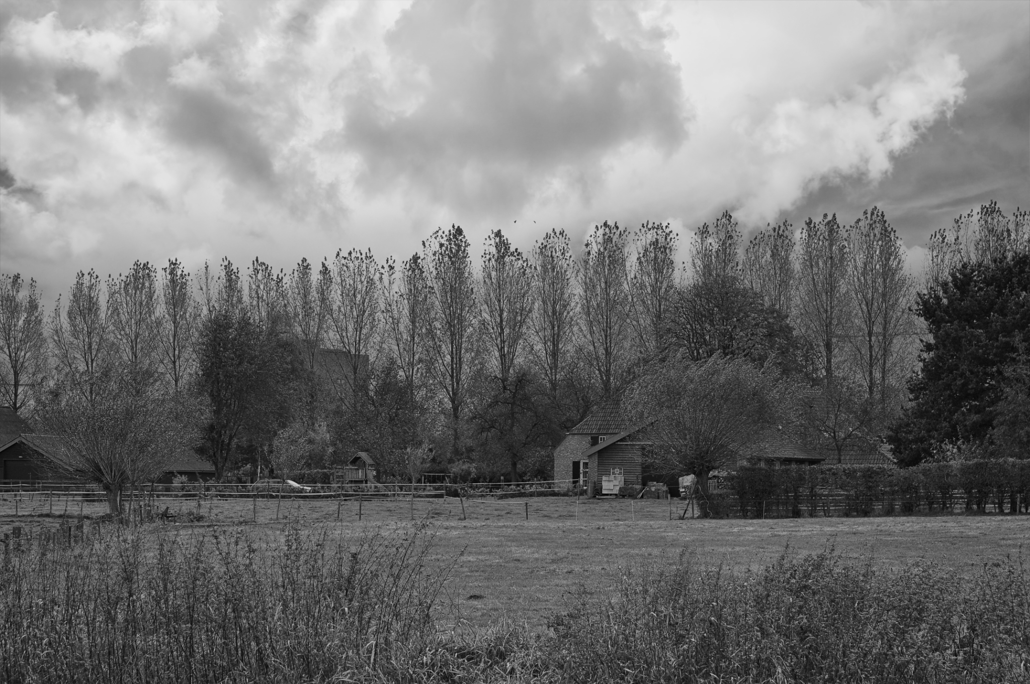 Boerderij